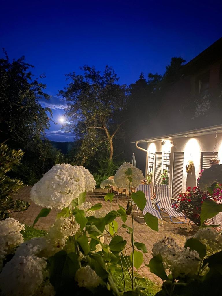 Ferienwohnungen Elsterblick Бад Елстер Екстериор снимка